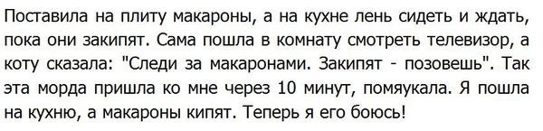 Веселости которые встретились сегодня