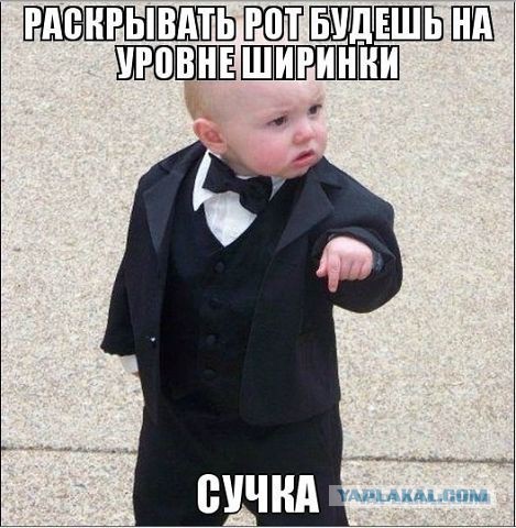 Набор ЯПовца!