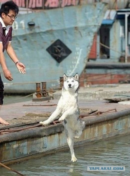 Картинки разные