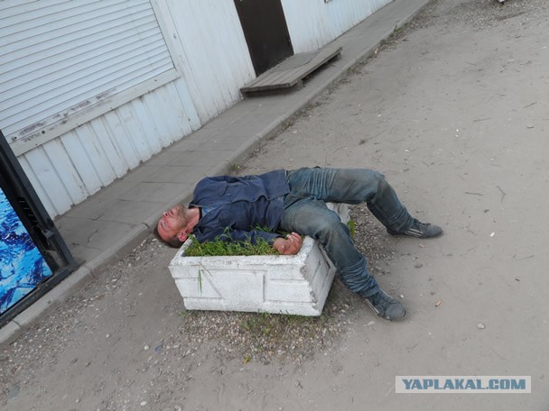 Красоты Беларуси