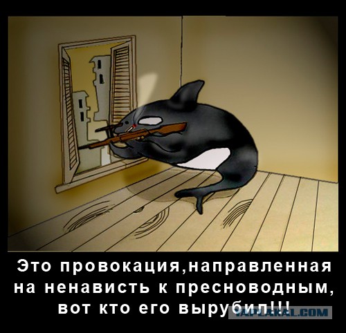 Рыба отправляет мужика в нокаут