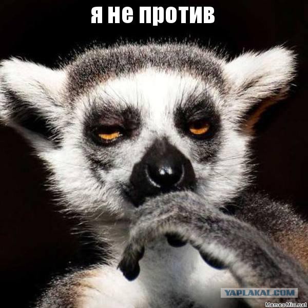 Всегда готов!