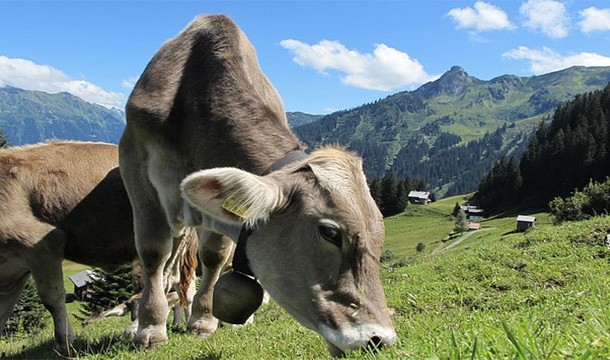 Чего мы не знали о музыке: 18 занятных фактов