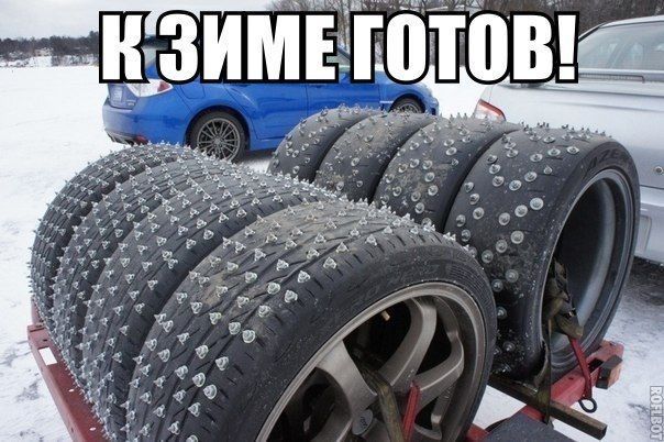 Приколы из сети