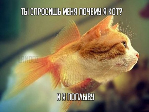 Картинки и демотиваторы