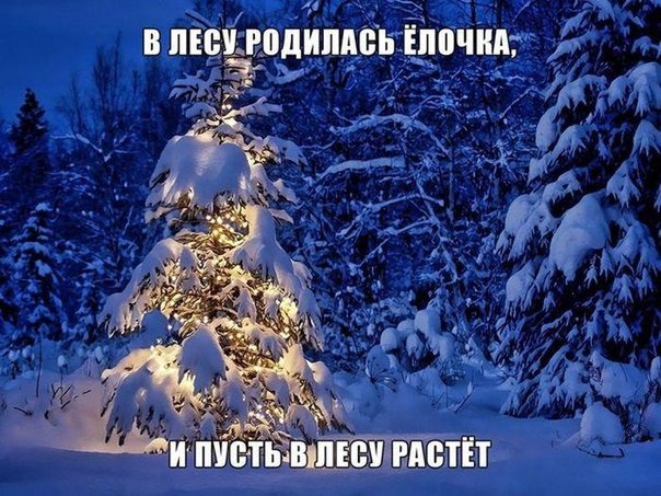 Разные картинки