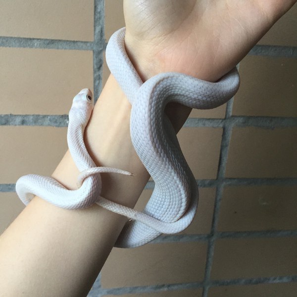 Разные картинки