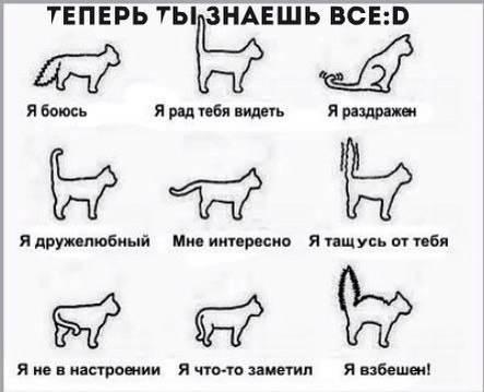 Разные картинки