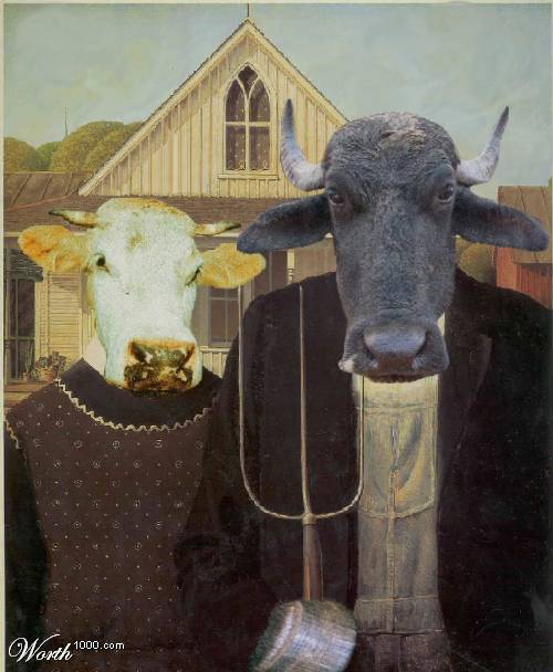 Тайная жизнь коров