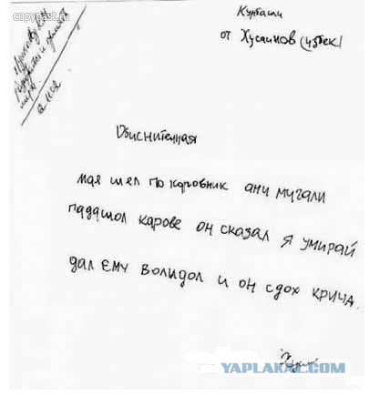 Эти люди знают, как писать объяснительные