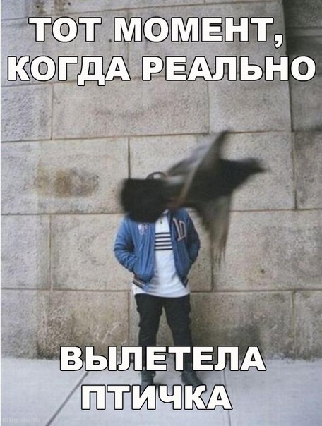 Картинки разные.