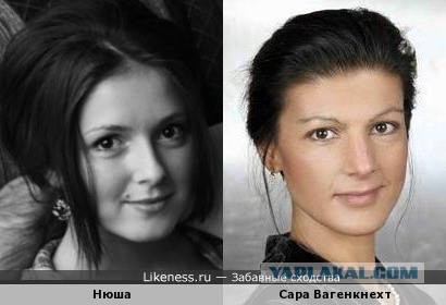 Что это за безумие?