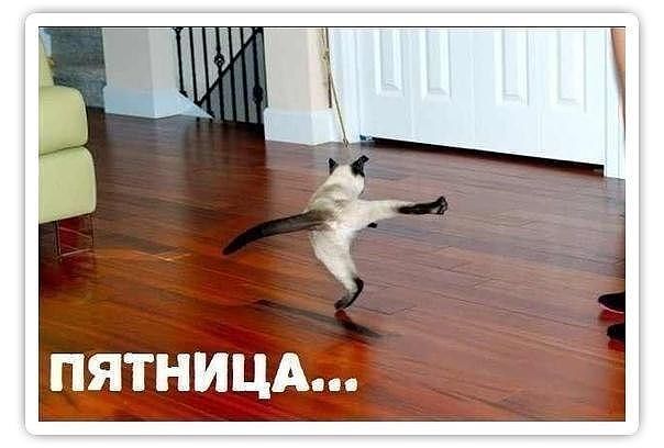 Картинки на пятницу