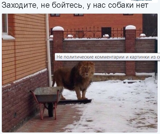 Забавные картинки с буквами