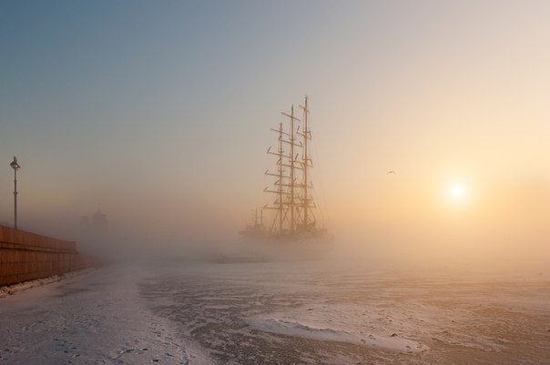 Моменты, запечатлённые на фото и просто позитив 5