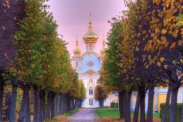 Моменты, запечатлённые на фото и просто позитив 5