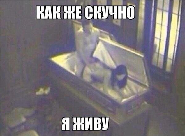 Деградации ЯПу от Креизи