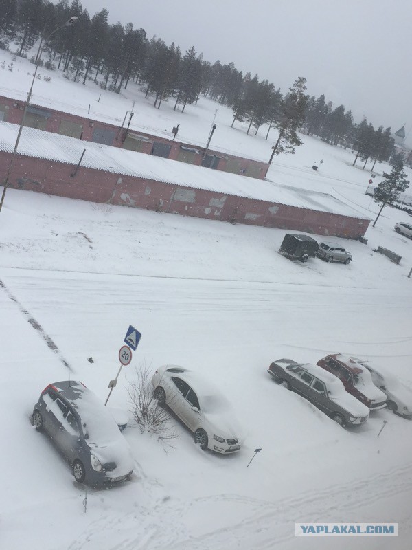 А у нас май сломался