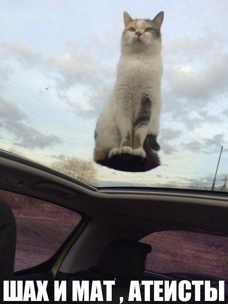 Приколы в стиле "регресс"