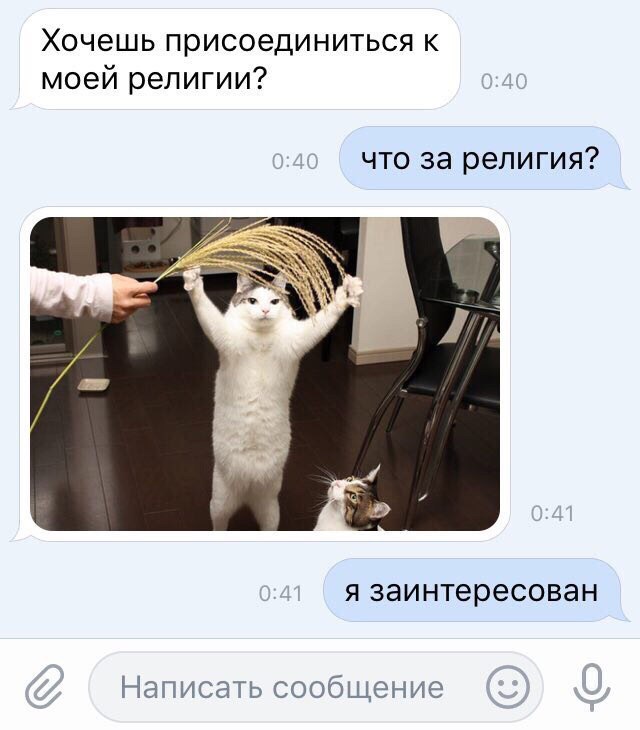 Смешные комментарии из социальных сетей 29.09.2017