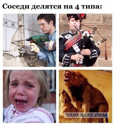Когда хочется убить соседа