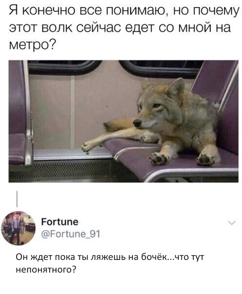 Зарядись позитивом