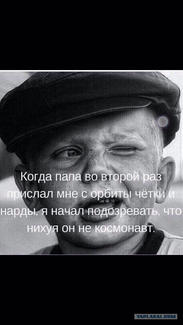 Прикольные картинки обо всём