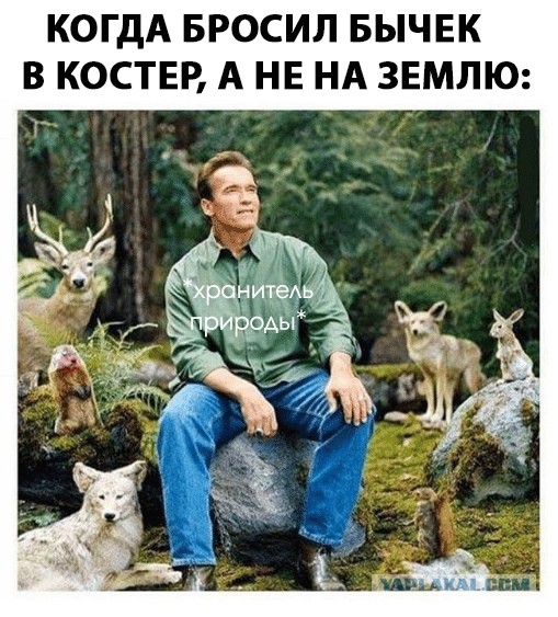 Не очень адекватный юмор