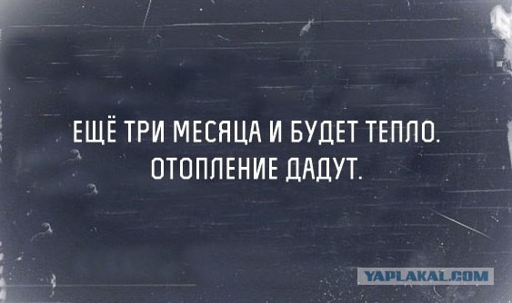 Немного картинок в эту субботу