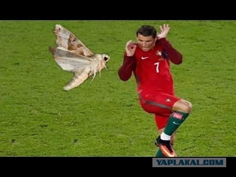 Не очень адекватный юмор