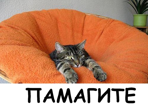 Lolcats - котовторник 33 лолокота!