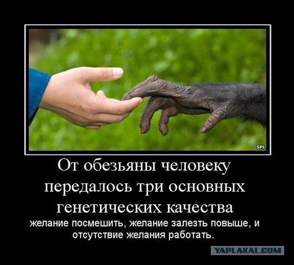 Танцы, танцы, танцы - и сводит музыка с ума...