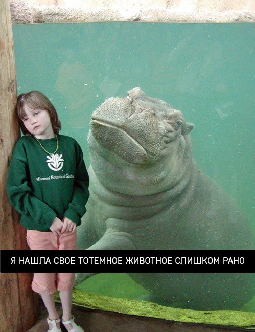 Немного картинок на вечер