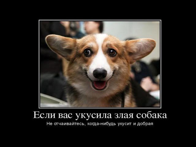 Картинки в черных рамках с подписями