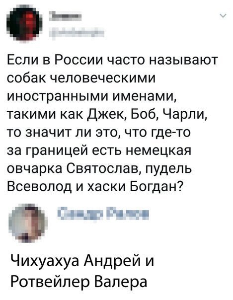 Картинки с надписями, истории и анекдоты
