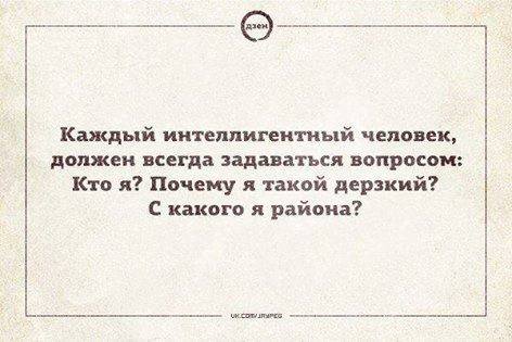 Немного картинок для настроения 15.10.19