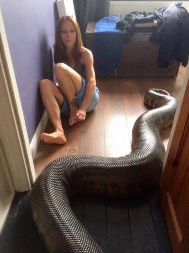 Набор разных картинок 17/10