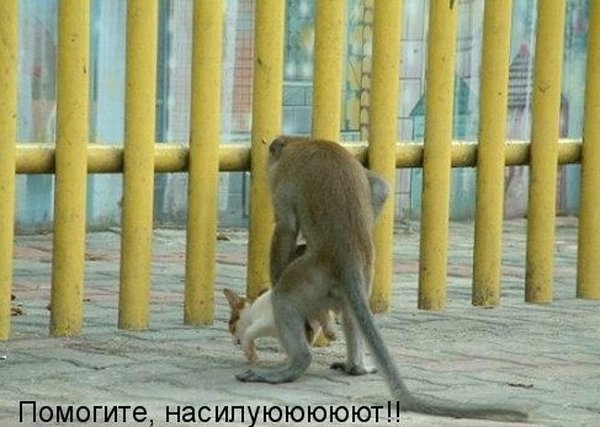 Чуток картинок.  Вечерние