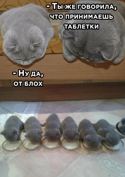 Немного картинок для настроения 16.05.20