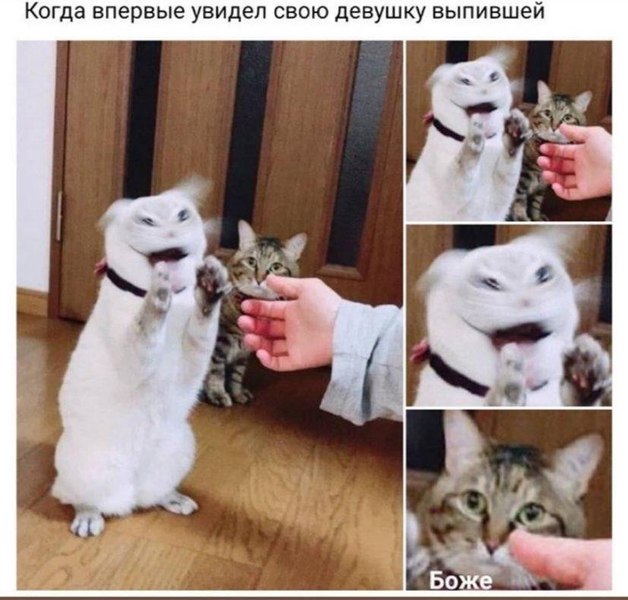 Что происходит с женщиной, которая пьет