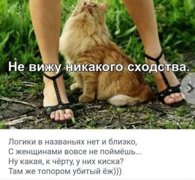 Пятница. И немного слегка пошлых картинок с надписями и без 16+ (27.11)