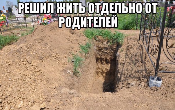 Юмор в картинках 6.12.20