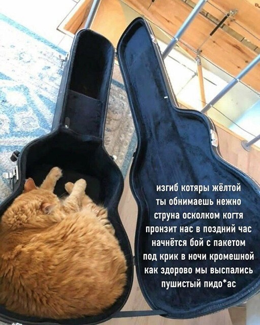 Алкопост 19.12.20