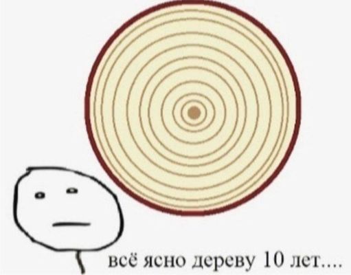 Февральская вечерняя чернь...