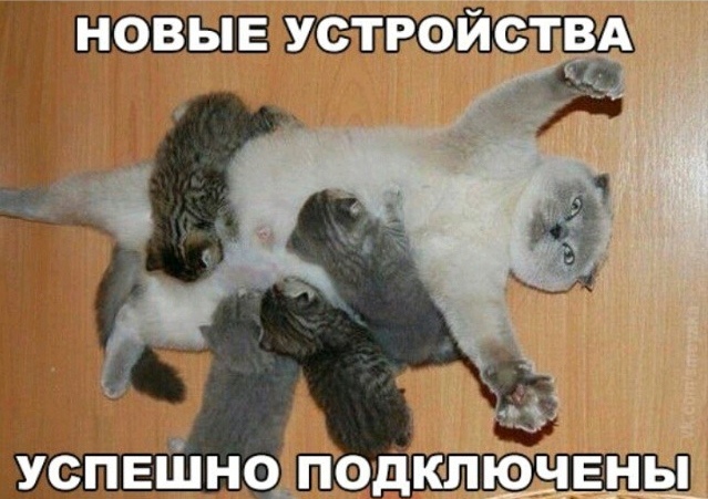 Всякие разные картинки 16.03.21