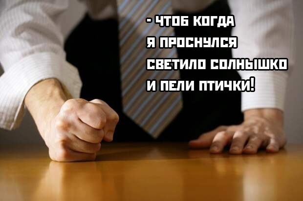 Весёлый полтишок 17.03