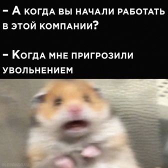 Немного картинок разной степени новизны и адекватности - 2