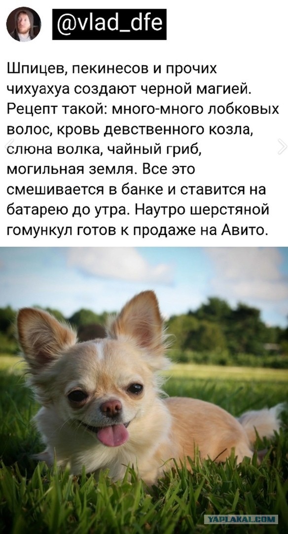 Так себе картинки 20.05.21