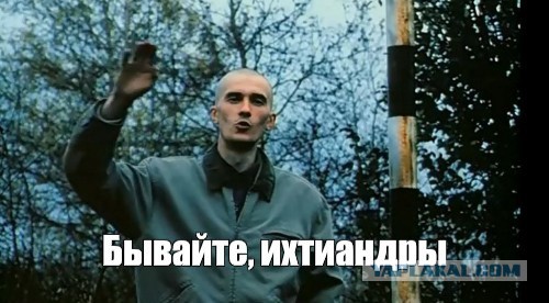 «А где ты видел здесь людей?»: Под Волоколамском бизнесмен украл и уничтожил реку