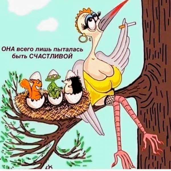 Картинки и мемы для настроения 10.06.2021